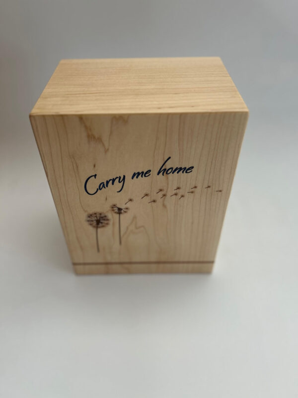 Carry me home - Image 5