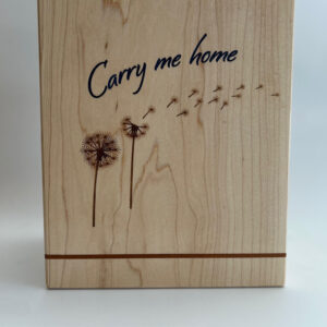 Carry me home