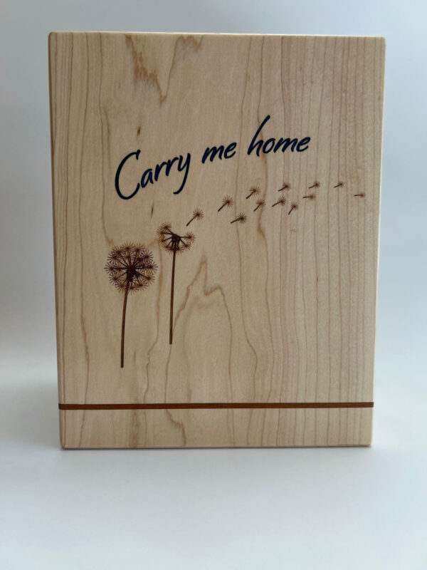 Carry me home