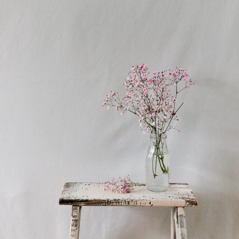 flower, vase, baby's breath, natural, beautiful wallpaper, love, floral, blossom, bloom, soft, background, natural background, texture, summer, green, plants, flower, vase, vase, nature, vase, vase, vase, love, love, love, floral, floral, floral, soft, flower wallpaper, background, background, background, floral background, background, flower background, beautiful flowers, natural background, texture